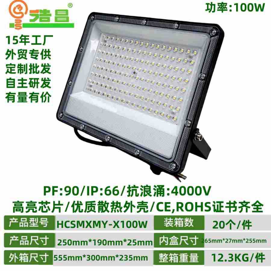 100W 렌즈 실외 방수 투광등(그래핀)