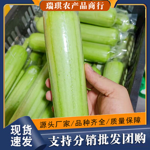 ���ϰ���z�����r�Fժ�����r���߲˶̰�������������Ʒ�N�z�����l