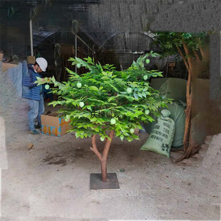 ������÷�����쾰�^�ٹ����b��^�Ƶ�����ͥԺ�������ߔ[��