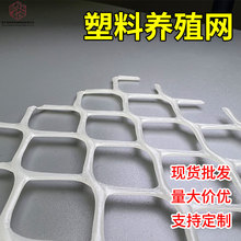源头工厂加厚全新料养殖漏粪网围栏网白色养鸡塑料密网格网塑料网