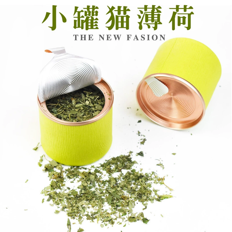 Маленькие банки кошачьей мяты порошок кошачий волос шарик сушеные листья Консервы Кошачья мята свежие листья