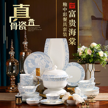 ���F���ĹǴɲ;����bȫ�׾�����մ���P�ӽM�ϼ��Æ��w�Y��YƷ