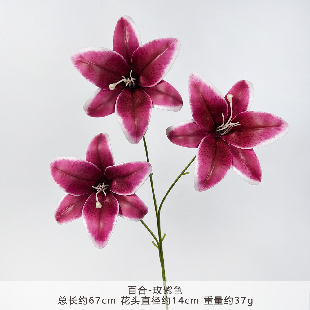 YM2-ลิลลี่-โรส สีม่วง