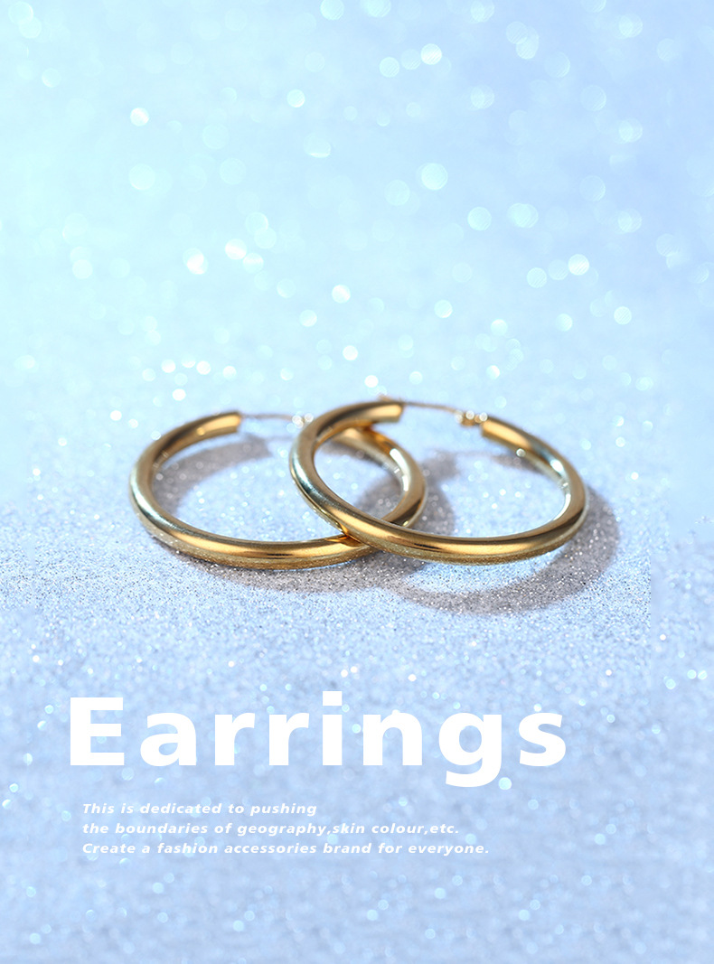 10g Weight Simple Style Geometric Stainless Steel Plating Earrings 1 Pair