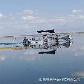 定制河道保洁船 小型水库垃圾清理收集设备LY-2-1200割草船 明轮