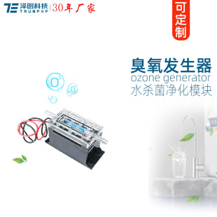 Trumpxp Ozone Generator Load Water Dispenser Dishwasher Water Purifier Sterilization Module Purifier