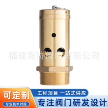 ����ʽ��ȫ�yA28X-10/16T�����偠t������й���y