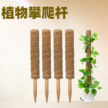 �羳���u40cmҬ�ذ��������G�}������֧��Ҭ�z�Uֲ�������U���S