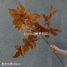 仿真青鸟叶凌霄叶秋色系布置叶材婚庆婚礼拍摄道具人造花假花批发