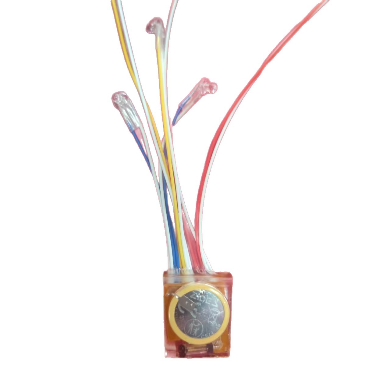 Luz LED Decorativa para Calzado de PVC para Calzado