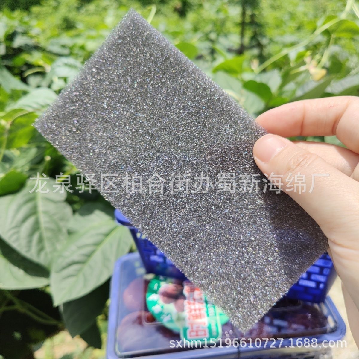 厂家供应各类水果垫片海绵/薄海绵片材垫片/水果片材海绵