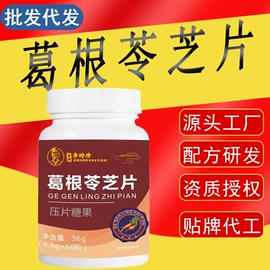 其他冲调饮品;果蔬汁;代餐粉