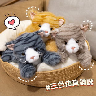 ����؈�乫����ż�ɐ�ſſ��ɫ�껨؈��u�Ӱ���ë�q��߃�ͯŮ��