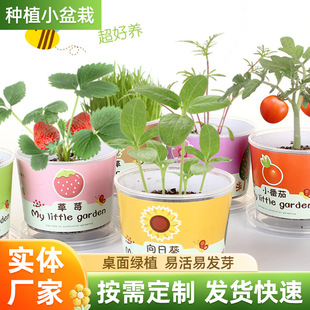 С�����GֲС���ԃ�ͯ���DIYؓ�x�ӾGֲС��������W������Nֲ