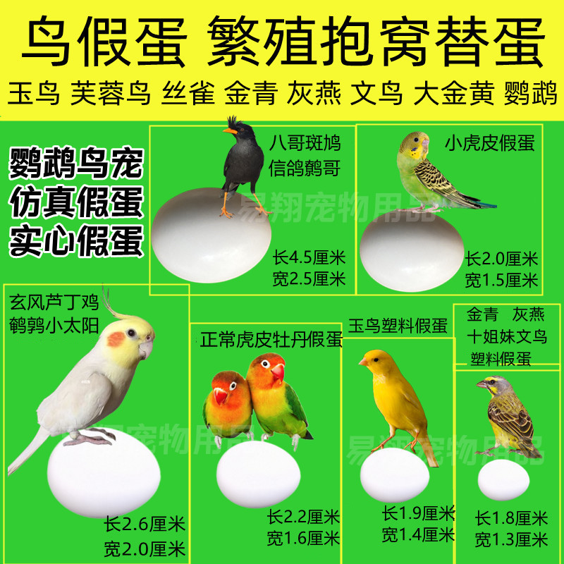 O1CN01STYM2U1gHAyXtq2N5_!!8014