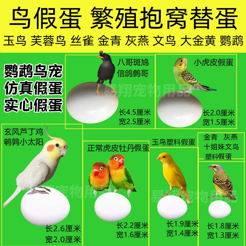 Искусственные яйца попугая, реалистичные твердые яйца для попугаев, неразлучников, корелл, волнистых попугайчиков, принадлежности для птиц, нефритовые яйца для птиц