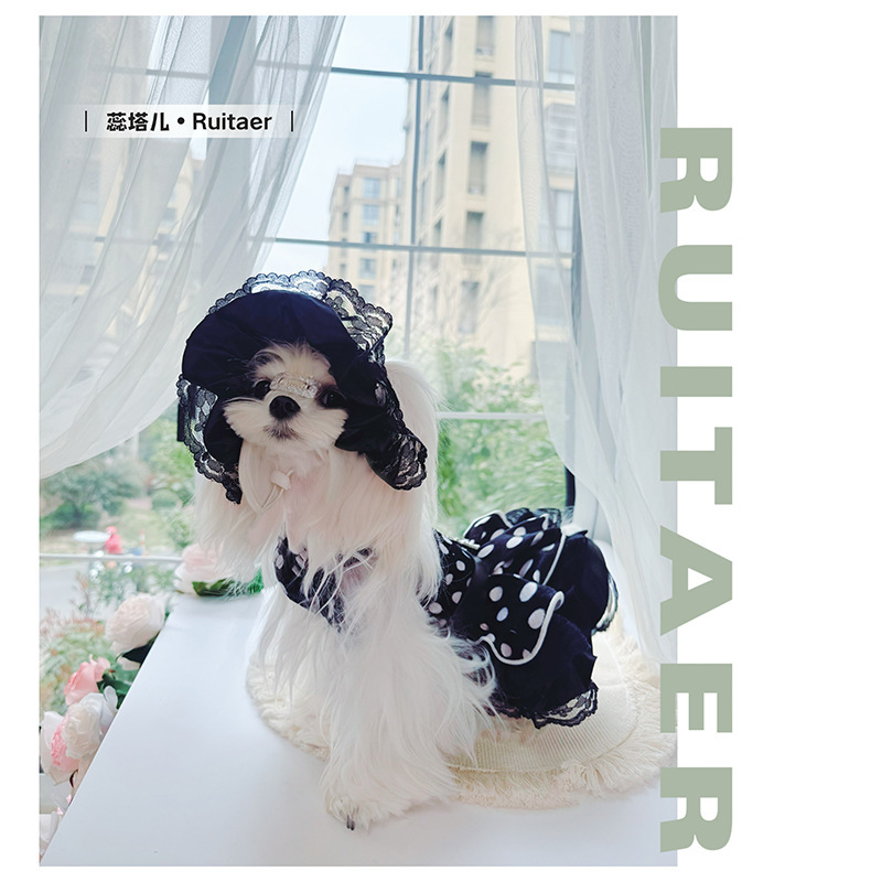 Retro Lace Polka Dot Pet Dress Maltese Yorkshire Small Dog Princess Dress Velvet Hat for Dogs