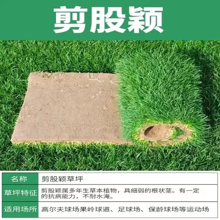 고급스럽고 아름다운(컷가랑이*잉) 9999+