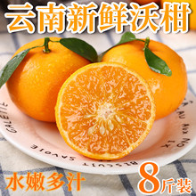 云南新鲜沃柑8斤装水嫩多汁橙子当季水果整箱批发橘子桔子蜜桔橘