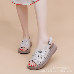 �ļ��¿����Ь�������~��Ь¶ֺ��װٴ�ܛ�׷���ħ�g�N�ɸ��