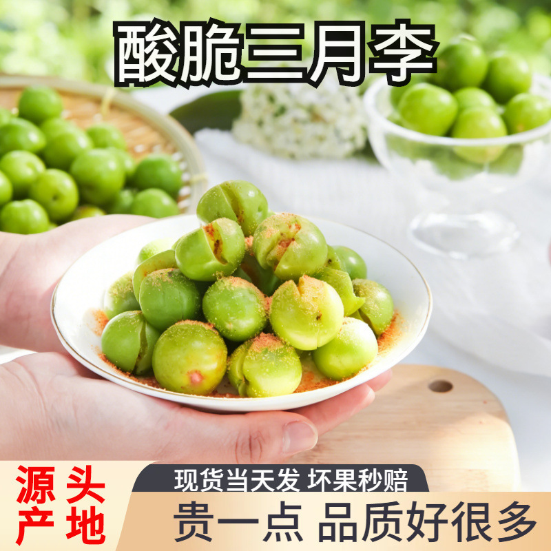 Fresh March Plums in Stock, Early Season Ripe Sanhua Crisp Plums, Sour Plums, Fruit for Pregnant Women, 2.5kg Whole Box with Free Shipping