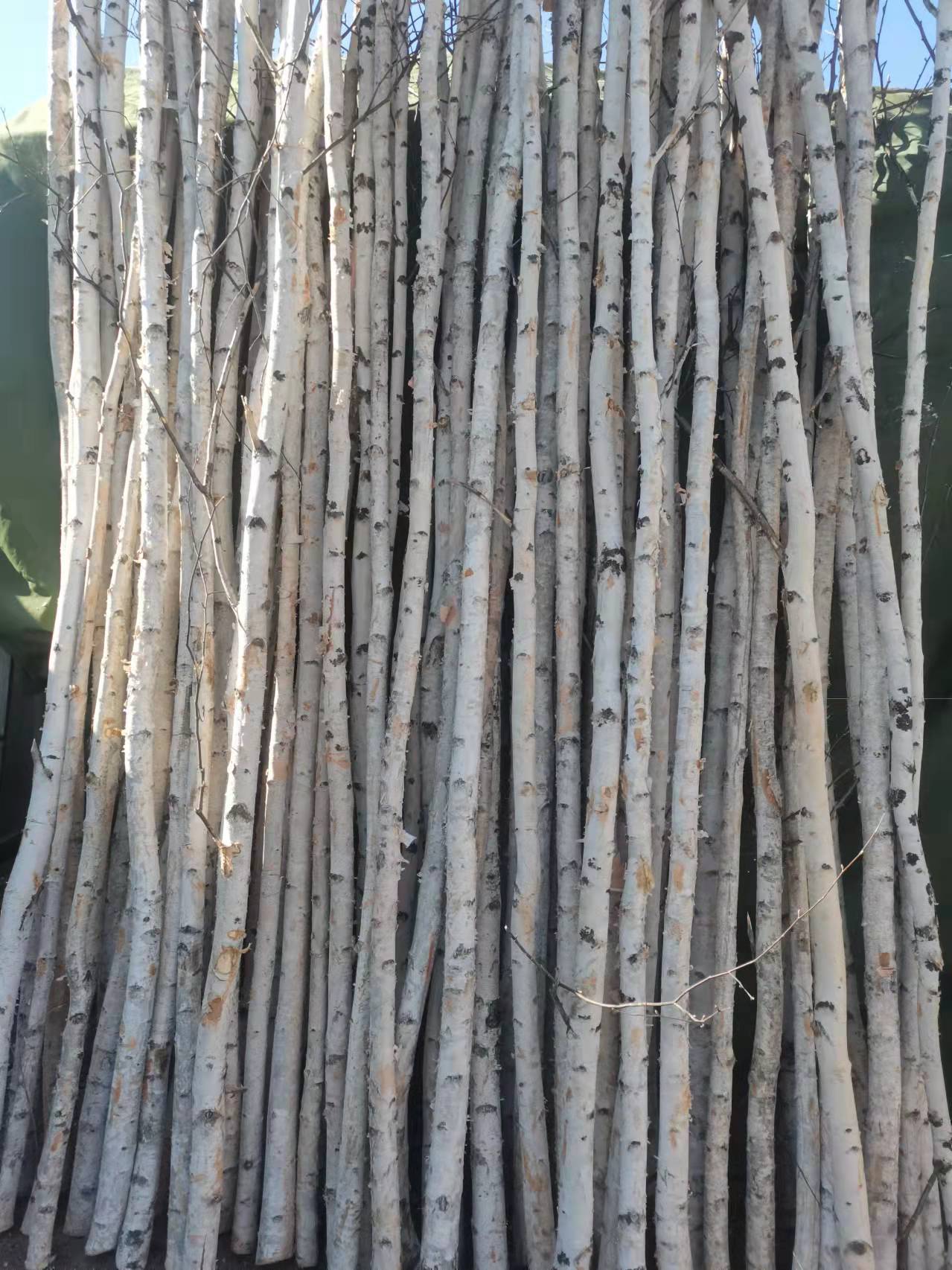 94e1522c05e691db4d429f275ce11d