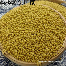 �F�������خa���w��׿��w������w������w�����ȴּZ�s�Z���l