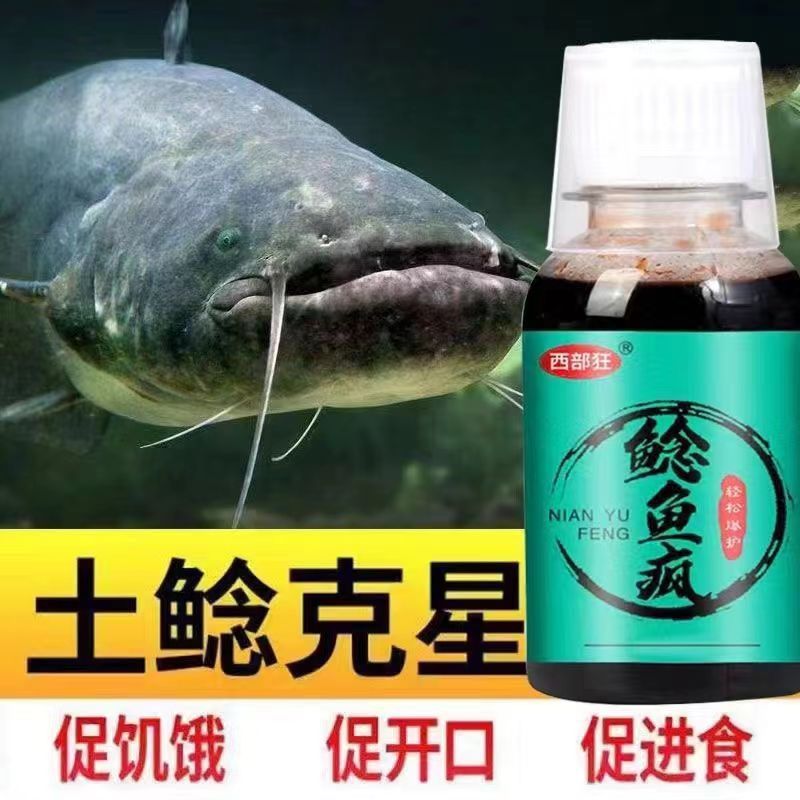 Cat, pescado barbudo loco, gato de boca grande, gato egipcio, gato de tierra, gato de tierra, cebo, gato de gato, fábrica de suministro al por mayor.