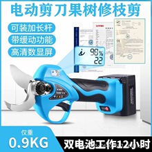 늄Ӽ���������ʽ���@�@�ּ�֦��������֦����֦늼�������