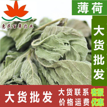 薄荷叶 花草茶薄荷叶薄荷叶薄荷茶 干薄荷薄荷叶 500克初级农产品