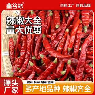 �����������l�����������������������������θɼt����������ȫ