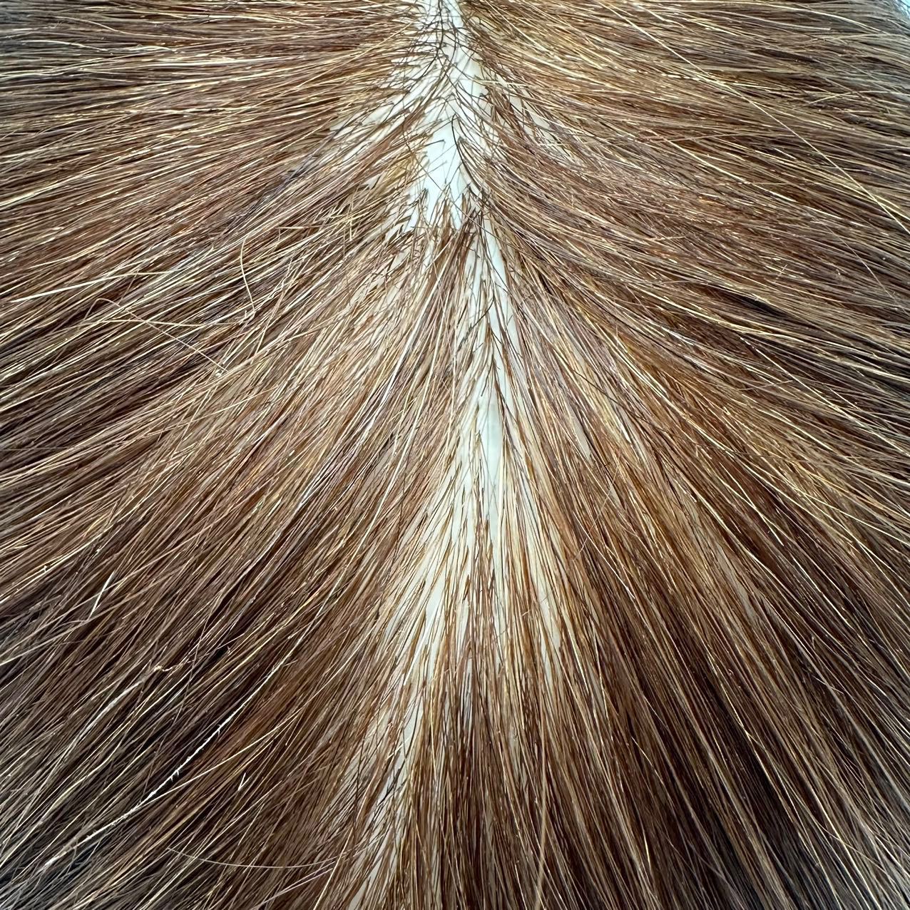 Todo el cabello real, peluca, entrenamiento, cabeza, cabeza, cabello, cabello trenzado, aprendizaje, cabello, cabello, cabello, cabello, soplado, permanente, cabello real