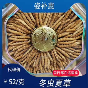 ���a�� ���x�Ĳ݃����x�� Ӽ�x��ȫ���a��һ��؛Դֱ���д����Y��