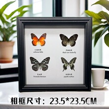 ������˱���� �W���L�b�DIY�͹����Ҿ�����С�[�����նY��