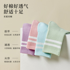 諸暨襪子女生秋冬加厚加絨毛圈襪女款保暖中筒襪冬季純色棉襪組合