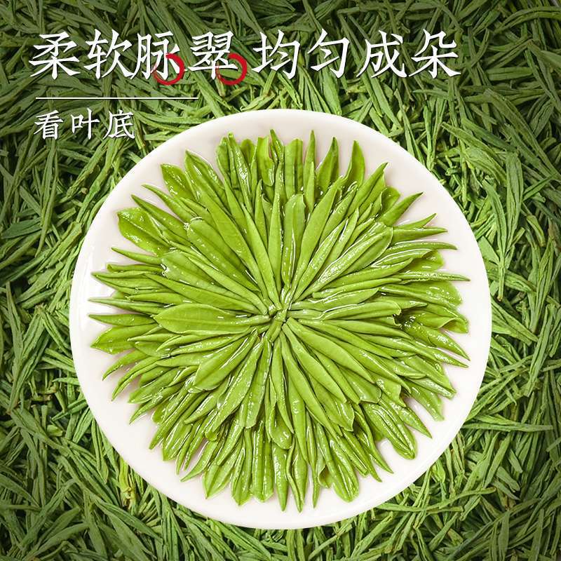 恋凝香本場安吉白茶当時新茶湖州特産一芽一葉手採白化緑茶缶|undefined