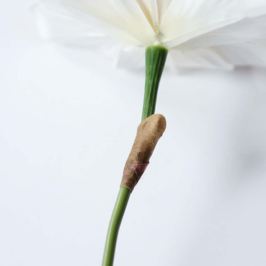 9G4A4035_副本.jpg
