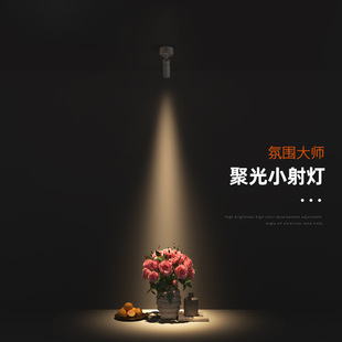 ✅ Mini Spotlight Led Surface-Mounted Track Light Spotlight Small Angle Embedded Atmosphere Light Tea Room Dining Table Placement