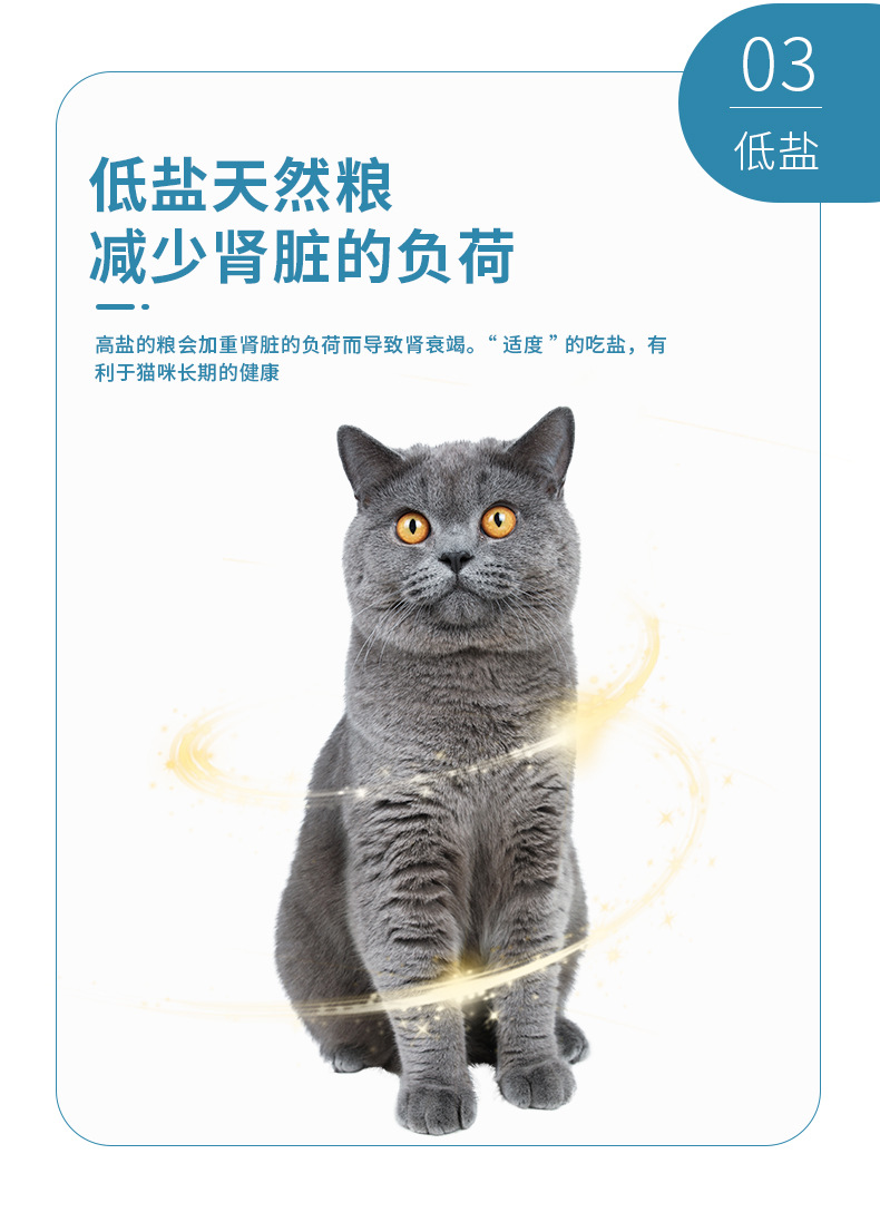 猫粮_07.jpg