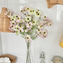 ��ʾշ�����@С�r�ռٻ��Ҿ��b廨������ˇ�Ĕz���߲����[��