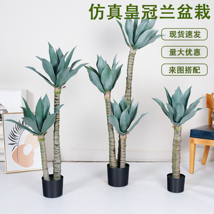 ����Gֲ�����m�ʹ��m�����҃ȴ�������b[���Ҿ��쾰����ֲ��