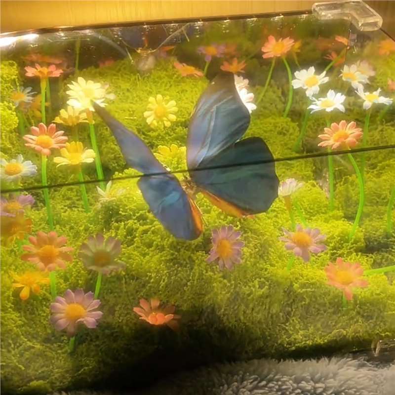 花海蝴蝶小夜灯手工diy自制材料包发光摆件居家桌面装饰七夕礼物|undefined