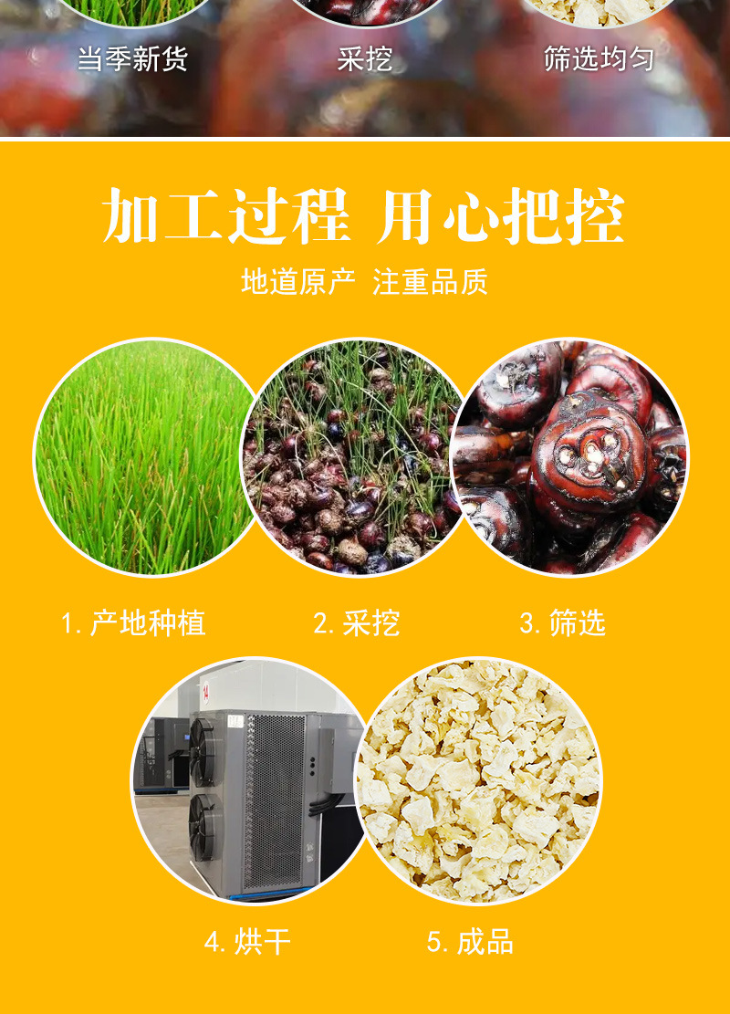 Peeled Dried Water Chestnut Dice (Eleocharis dulcis) — Ma Ti Diced for Tea & Soup preparation