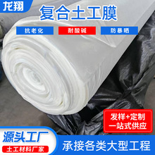 复合土工膜蓄水池两布一膜鱼塘河道养殖水库用跨境防水防渗土工布