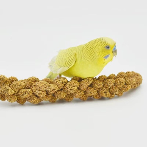 New goods, grain ears with shells, yellow millet, black phoenix and tiger skin feed, bird grain, civilian bird parrot, bird feed, hamster, squirrel grain