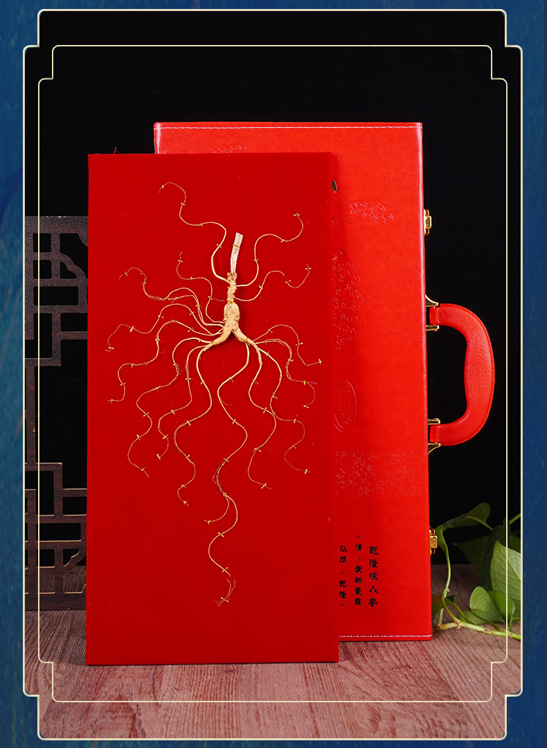 Changbai Mountain Wild-Forest Ginseng Gift Box Dried Root for Cooking and Wine Soaking in use