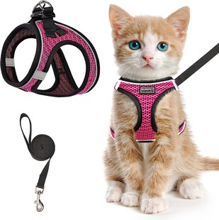 Dog Chest Strap Reflective Comfortable Vest Dog Walking Rope Medium and Small Dog Mesh Chest and Back Traction Rope