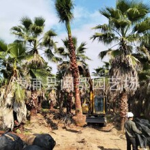 ���˿����������3m�o��20cm���I���^�G�������ֱ���ؙ��ؙ���