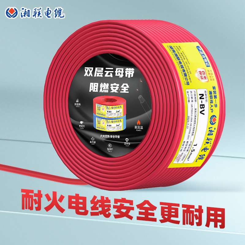 National Standard Copper Core Fire-Resistant Wire and Cable N-Bv4 6 10 Square Pure Copper Hard Wire Insulated Conductor Copper Core