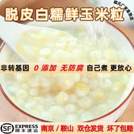 糯氏脱皮白糯玉米粒新鲜冷冻鲜玉米东北粘糯去皮玉米粒玉米羹原料
